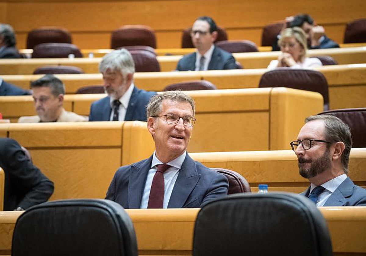 Alberto Núñez Feijóo y Javier Maroto durante la sesión en el Senado de este miércoles