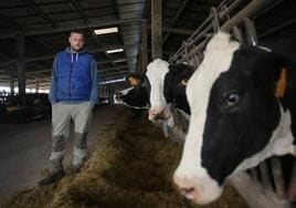 Advierten de que los ganaderos están «matando vacas para pagar facturas» y el riesgo de que no haya leche tras el verano