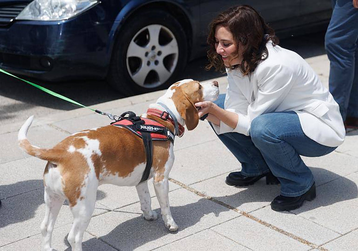 Isabel Díaz Ayuso, antes del acto de campaña en Paracuellos del Jarama