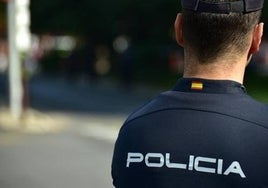 Los detenidos por cortar en el cuello a una estudiante de Granada tenían antecedentes por robo con violencia