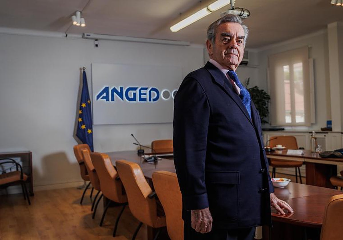 Alfonso Merry del Val, presidente de Anged