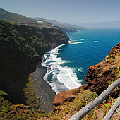 Se investigarán las causas de la muerte del cachalote de 8 metros varado en La Palma