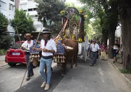 Las carretas de Sevilla marchan al encuentro con la Virgen del Rocío