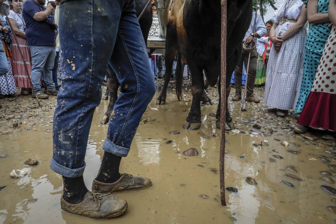 Diferentes momentos del paso de hermandades, este martes, por el Vado de Quema