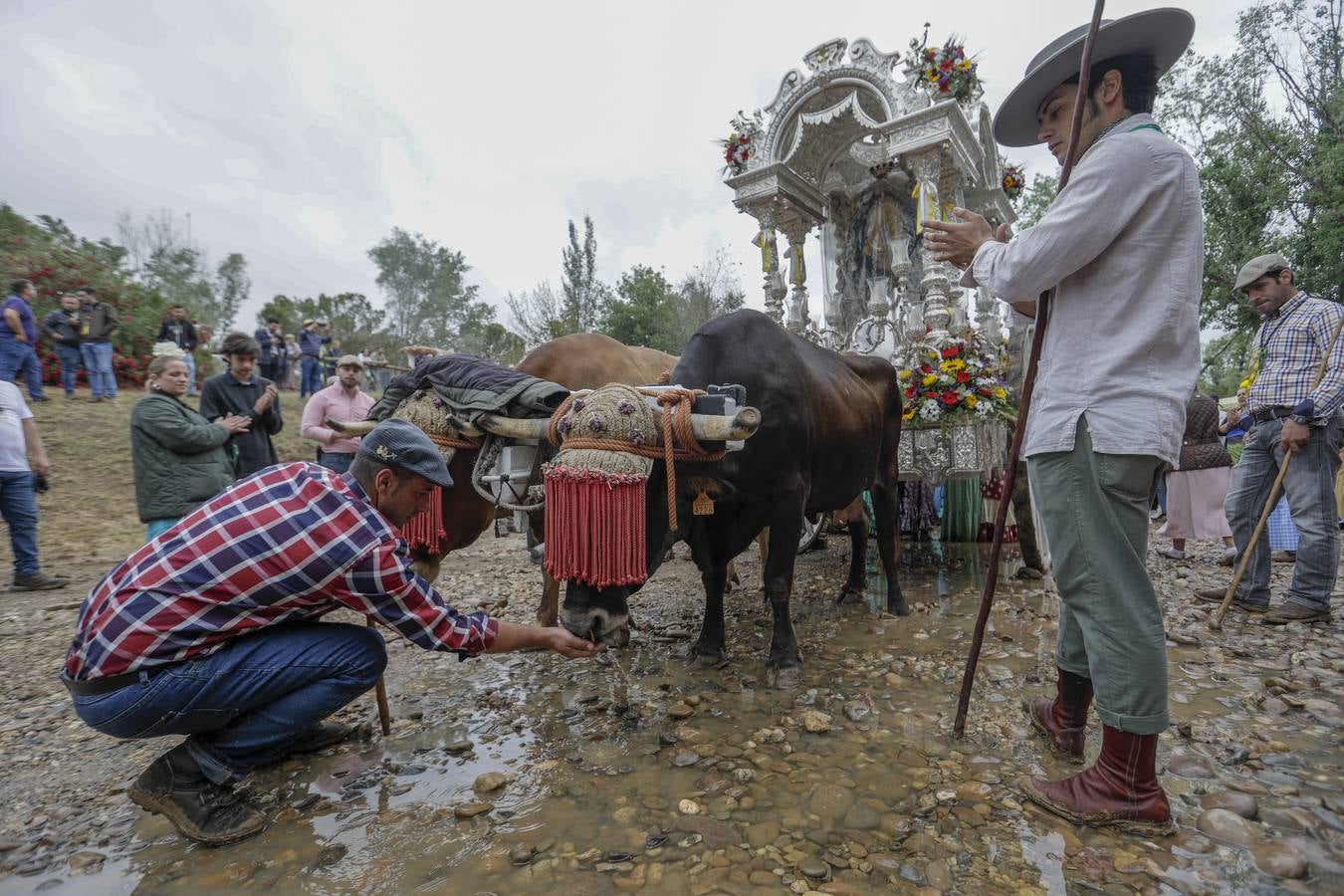Diferentes momentos del paso de hermandades, este martes, por el Vado de Quema