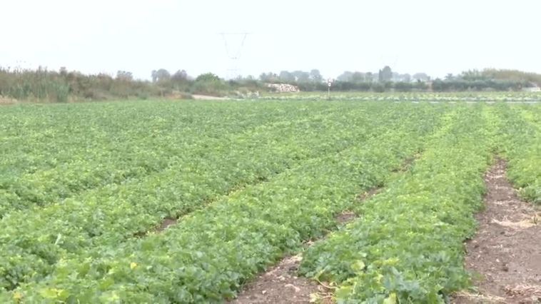 Las consecuencias de las lluvias: daños materiales y alivio en el campo