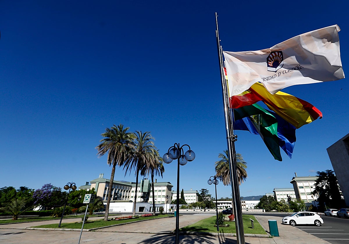 Banderas institucionales en el Campus de Rabanales
