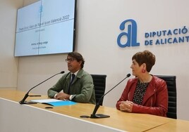 La Diputación de Alicante otorga el XVIII 'Premi Enric Valor de Novel·la en Valencià' a la escritora Elvira Cambrils