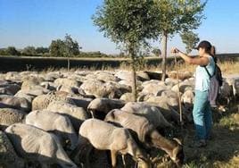 La Junta forma a 50 profesionales en ganadería extensiva en la Escuela Regional de Pastores