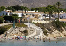 Pánico en una playa de Alicante: abaten a un jabalí que ha atacado a un policía y a un bañista