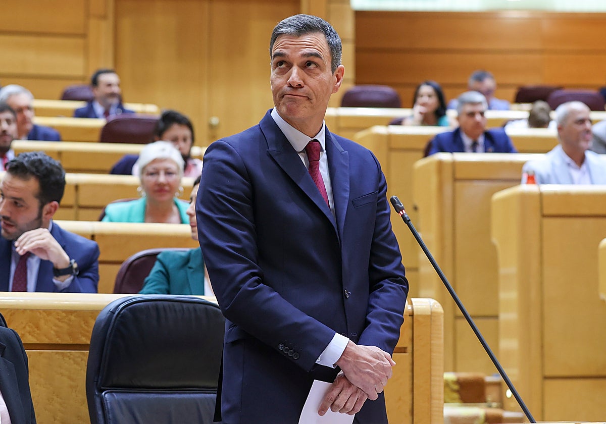El presidente del Gobierno, Pedro Sánchez, durante un discurso en el Senado