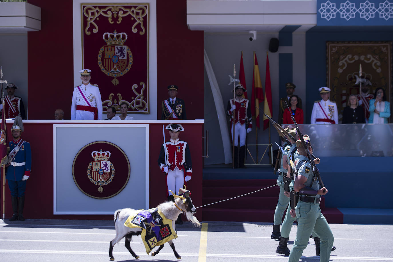 La cabra enana del Norte de África, de nombre Julio César, de la Legión participa en el desfile del Día de las Fuerzas Armadas este sábado en Granada