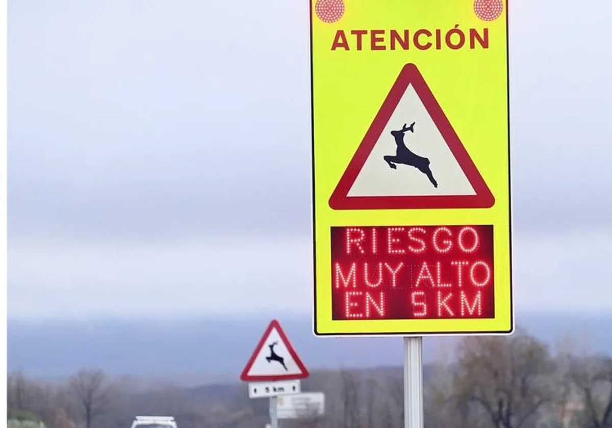 Señal instalada en una carretera de Castilla y León que advierte del peligro de irrupción de animales silvestres en la calzada