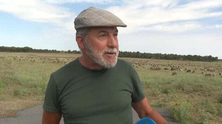 La sequía empuja a un ganadero a viajar cientos de kilómetros con sus ovejas para hallar pasto fresco
