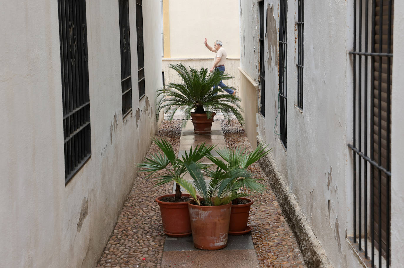 Las callejas históricas de Córdoba, en imágenes