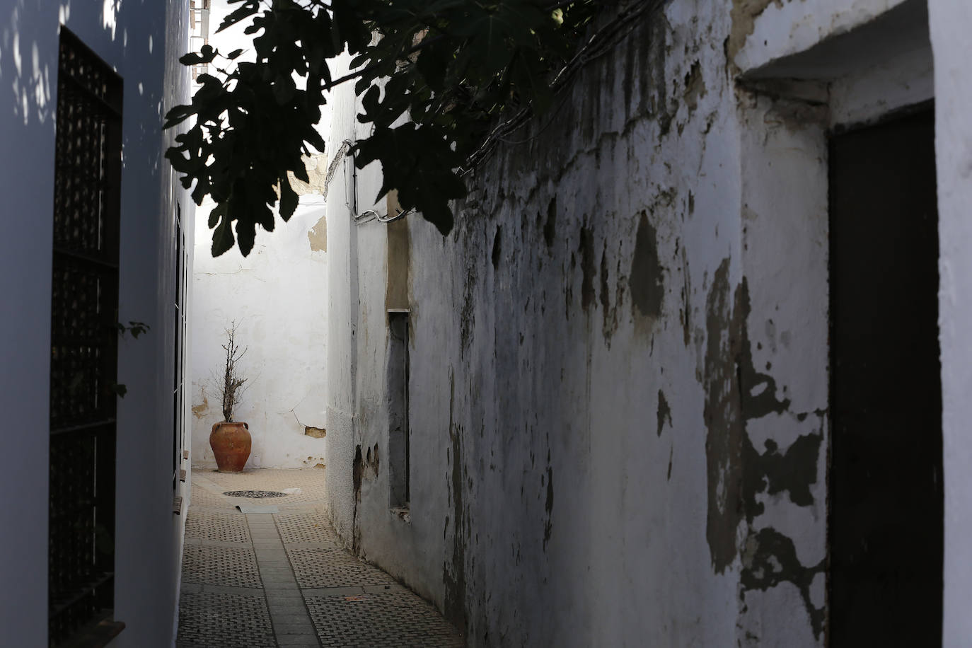 Las callejas históricas de Córdoba, en imágenes