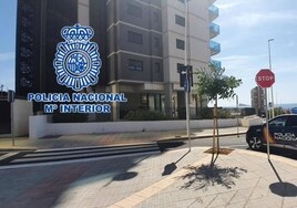 La Policía Nacional establece un dispositivo de inspección a establecimientos en Benidorm y localiza a una decena de vándalos