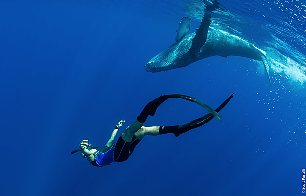 Clip del corto 'The power of activism'