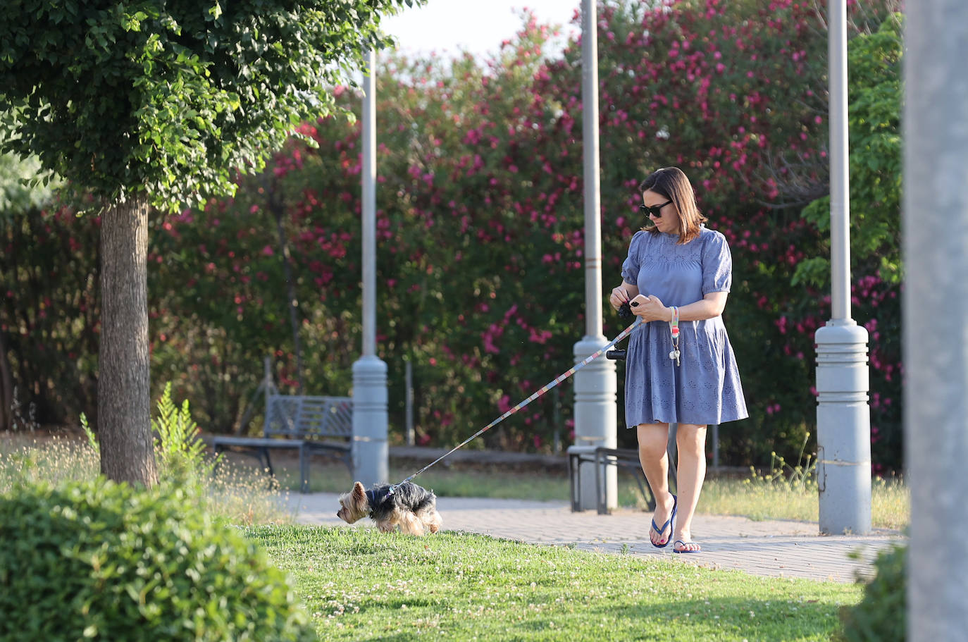 El barrio de Nuevo Poniente en Córdoba, en imágenes