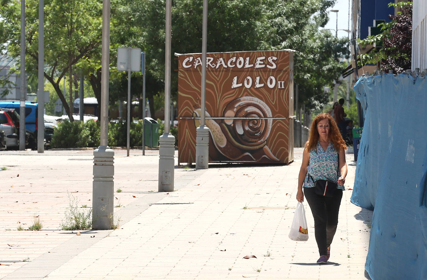 El barrio de Nuevo Poniente en Córdoba, en imágenes
