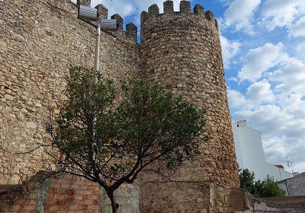 Muralla de la Villa de Cabra