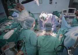 Andalucía, reconocida a nivel nacional por la formación masiva del proceso de donación y trasplantes de órganos