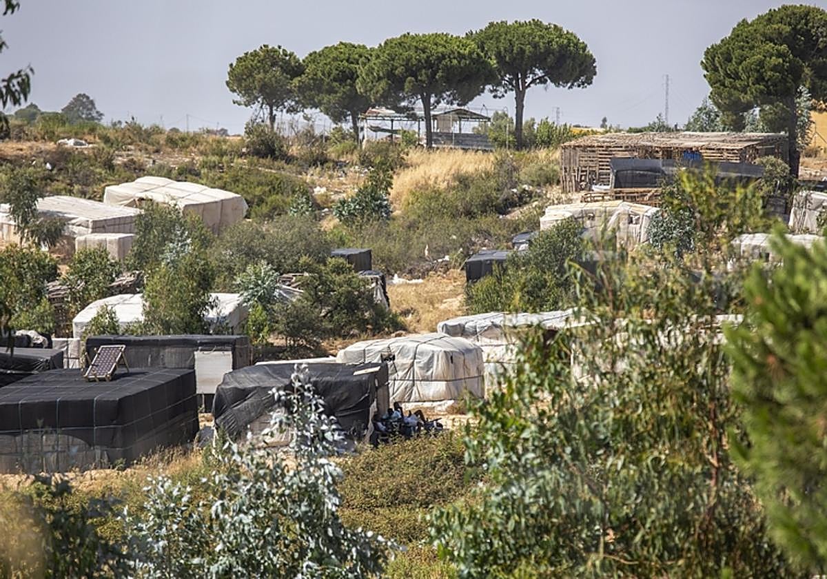 Imagen de un asentamiento chabolista en la provincia de Huelva