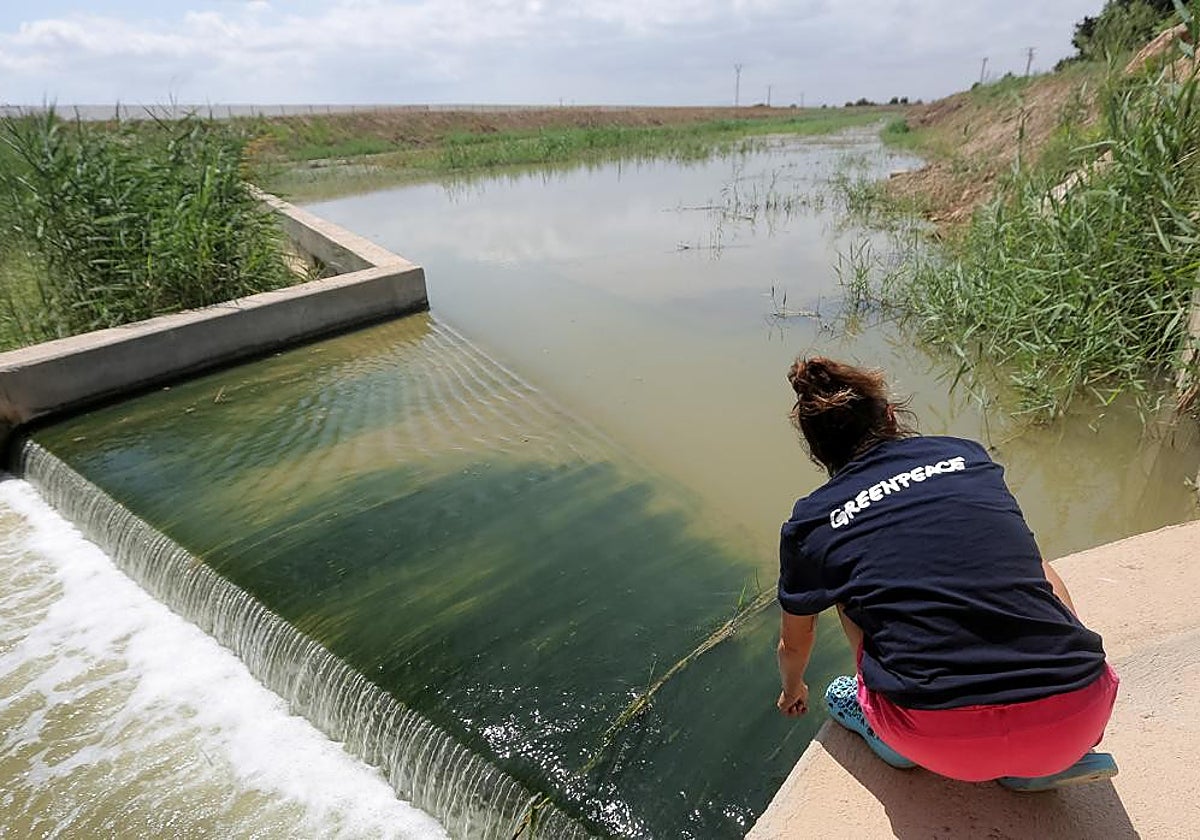 Un miembro de la organización ecologista Greenpeace analiza el agua de un canal