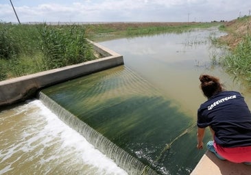Castilla-La Mancha es la región con mayor porcentaje de regadíos, según un informe de Greepeace