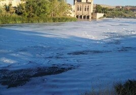 La Cátedra del Tajo  constata una «degradación clara» en ríos de la cuenca tras recoger 3.421 incidencias