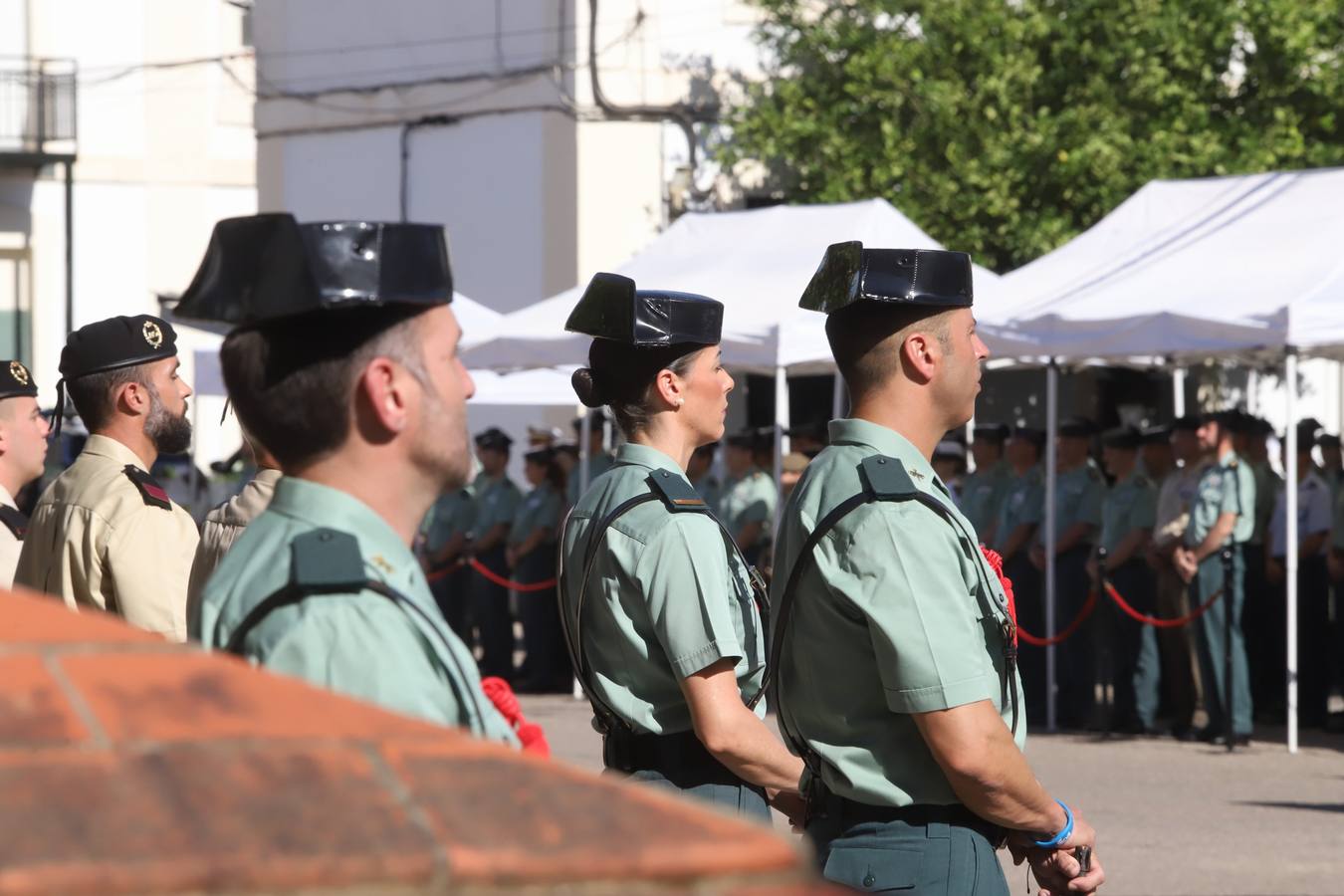 Fotos: Toma de posesión del coronel Ramón Clemente como jefe de la Guardia Civil en Córdoba