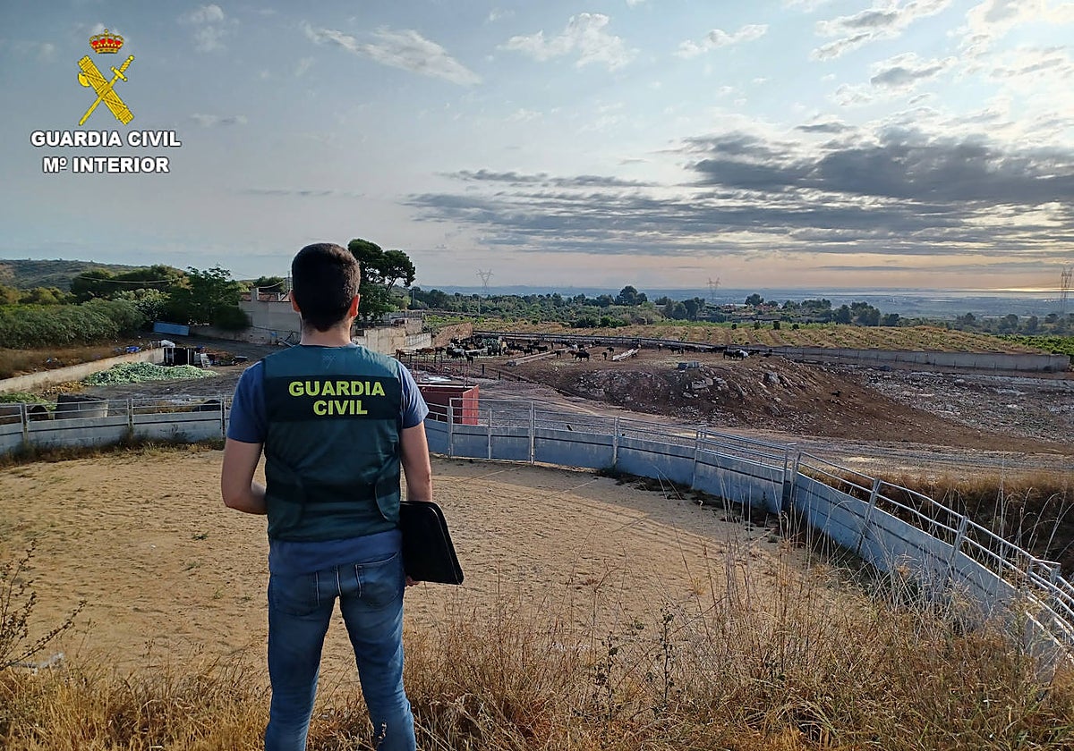 Imagen de un agente de la Guardia Civil frente a la ganadería donde se produjo el robo