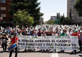 El campo de Castilla y León pide en la calle ayudas para hacer frente a su «asfixia»