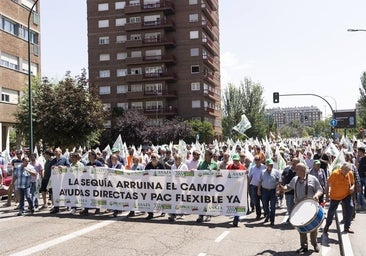 Un campo «en la UCI» urge ayudas: «Nos estamos jugando el futuro»