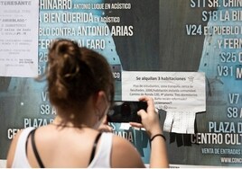 Jóvenes andaluces estallan por el retraso y el silencio de la Junta con el Bono Alquiler Joven