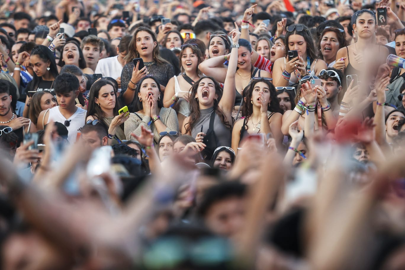 Alrededor de 42.000 asistentes se han dado cita en cada una de las jornadas del festival