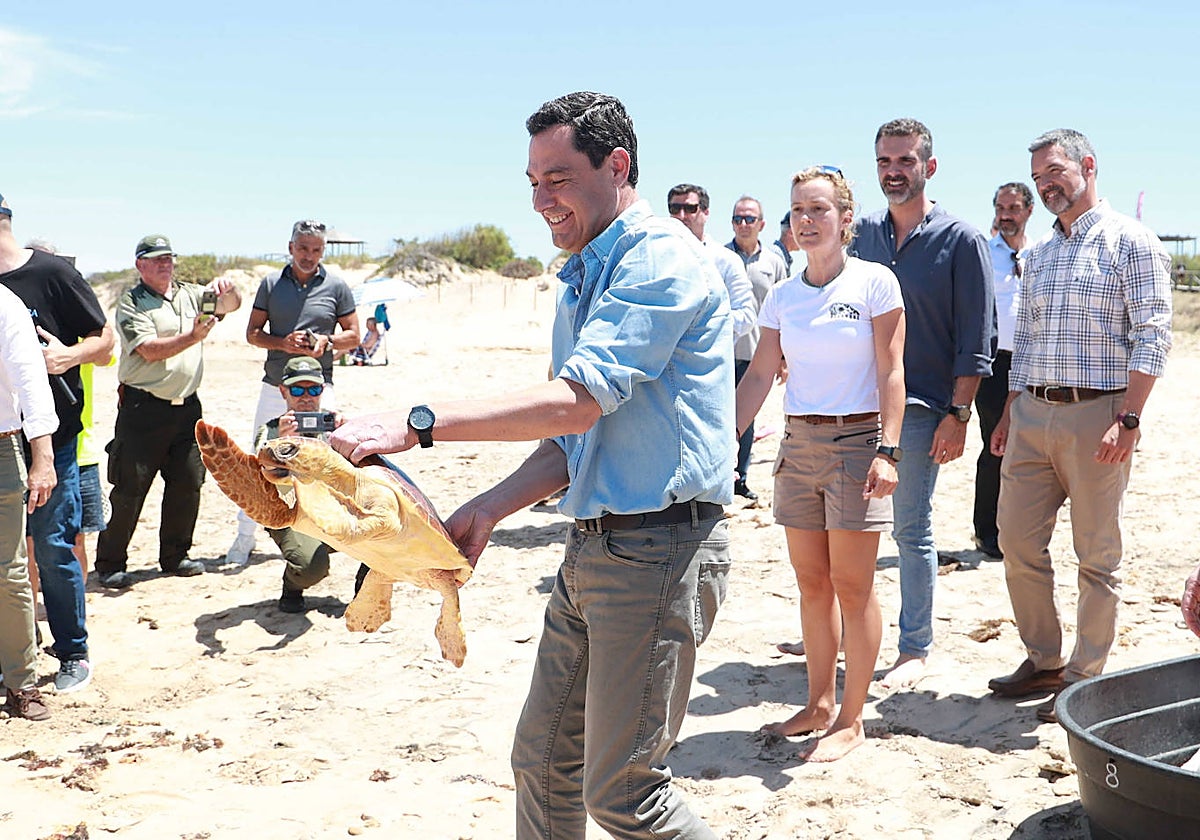 Juanma Moreno participó este viernes en la suelta de una tortuga boba en el Paraje de Punta Candor.