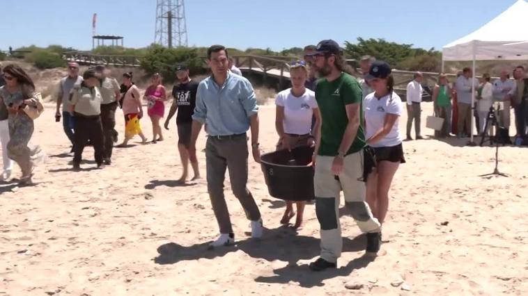 Moreno subraya su compromiso con la conservación de especies amenazadas en suelta de tortuga