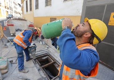 El sudor de la frente para ganarse el pan con calor extremo en Córdoba