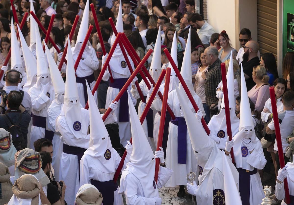 Cortejo de nazarenos de la Misericorida en la última Semana Santa de Córdoba