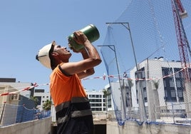 Fotos:  El duro trabajo en Córdoba con calor extremo