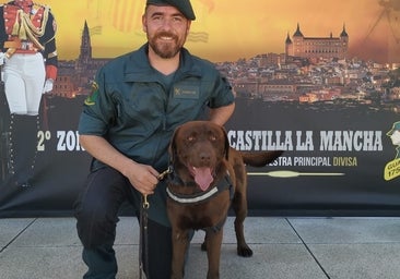 Se jubila Turko, el perro de la Guardia Civil que encontró 640.000 euros
