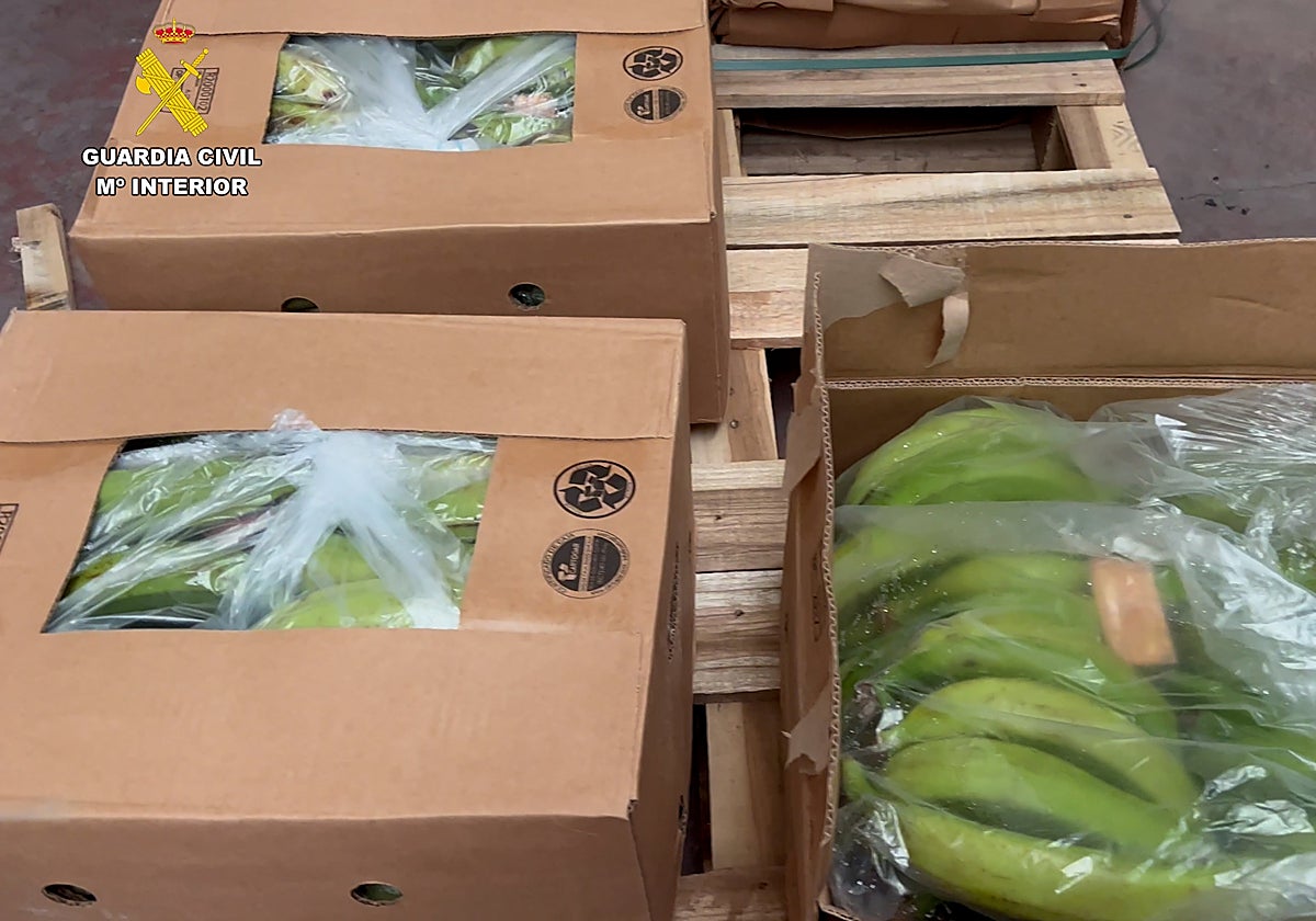 El 'modus operandi' de esta red criminal consistía en transportar partidas de cocaína en contenedores de bananas