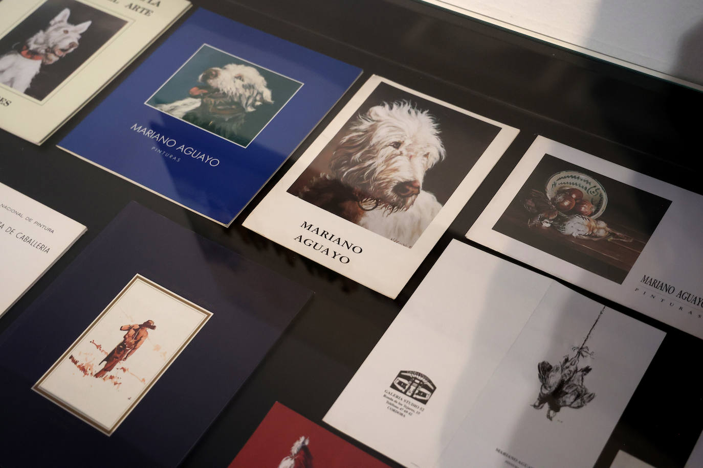 La exposición de pintura de Mariano Aguayo en Córdoba, en imágenes