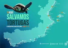 La IV campaña «Tortugas en el Mediterráneo» estará presente en la Comunitat, Murcia, Andalucía y Baleares