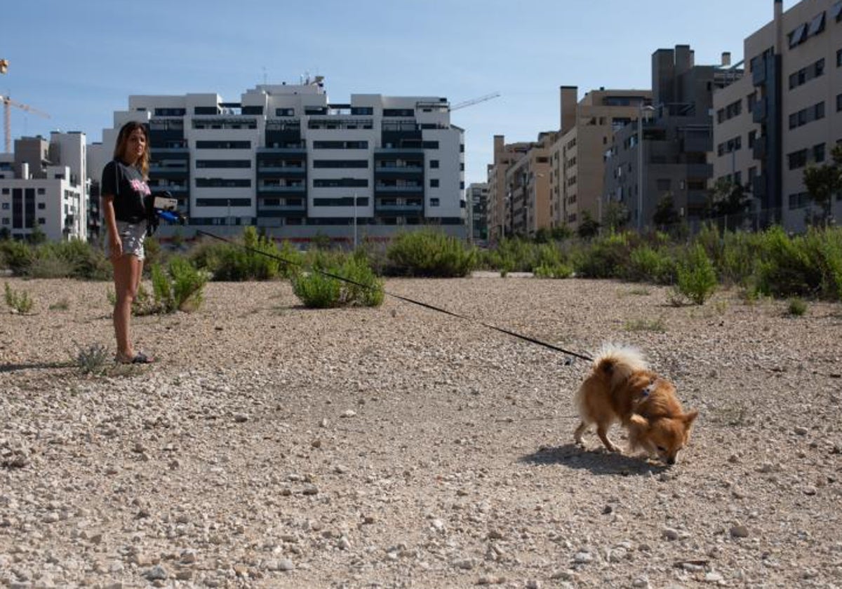 Una mujer junto a su perro en un descampado de El Cañaveral