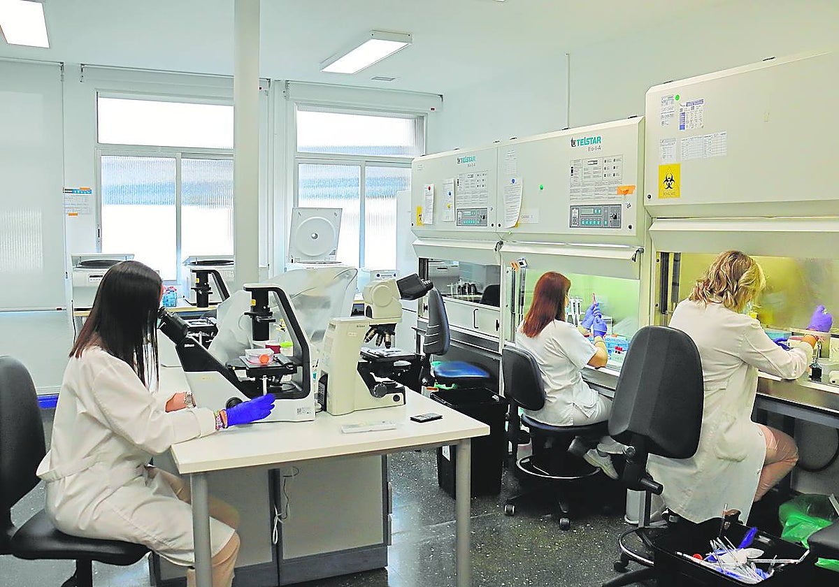 Investigadores de la Unidad de Terapia Celular del Hospital de Salamanca