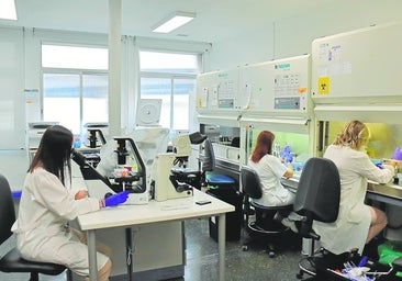 Salamanca fabricará sus medicamentos de terapia celular el próximo año