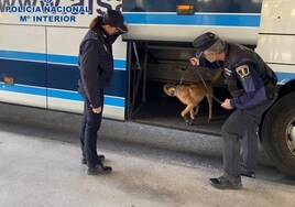 Un perro policía descubre a una traficante marroquí con seis kilos de hachís en una mochila con café viajando en autocar