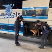 Un perro policía descubre a una traficante marroquí con seis kilos de hachís en una mochila con café viajando en autocar